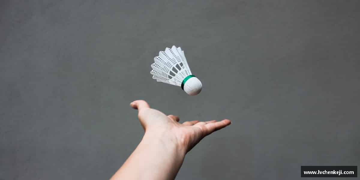 三亿体育科技有限公司超越极限，创造辉煌。